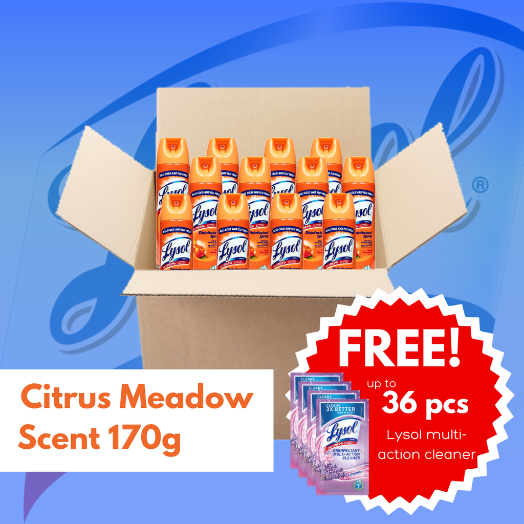 Lysol Big Box : Citrus Meadows Disinfectant Spray (170g)