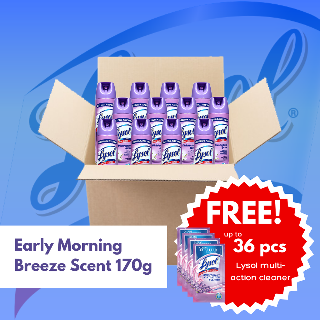 Lysol Big Box: Early Morning Breeze Disinfectant Spray (170g)