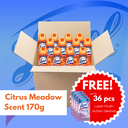Lysol Big Box : Citrus Meadows Disinfectant Spray (170g)